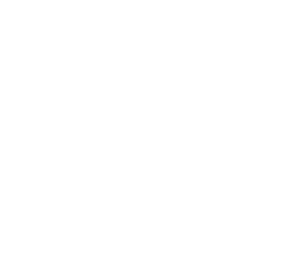 Das Praxismanagement - Logo freigestellt in weiß